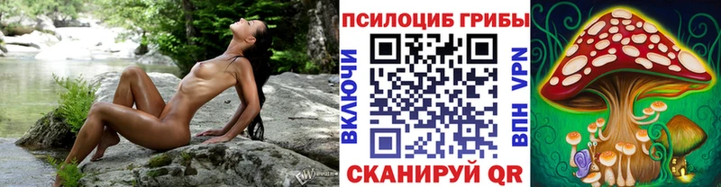 Псилоцибиновые грибы ЛСД  Купить  Курчалой 